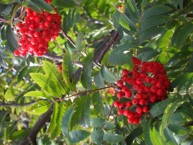 Workshop mit Juliane Haas